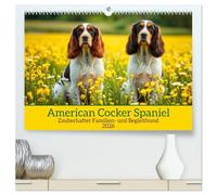 American Cocker Spaniel (hochwertiger Premium Wandkalender 2026 DIN A2 quer), Kunstdruck in Hochglanz: Zauberhafter Familien-und Begleithund