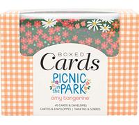 American Crafts Cards/ENVS A2 40/Box PRK, Amy Tan Picnic nel Parco, taglia unica