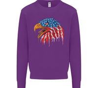 American Eagle Bandiera Degli Stati Uniti Felpa Uomo Jumper