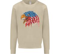 American Eagle Bandiera Degli Stati Uniti Felpa Uomo Jumper