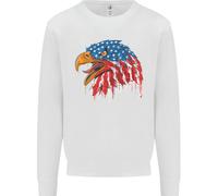 American Eagle Bandiera Degli Stati Uniti Felpa Uomo Jumper