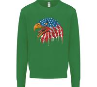 American Eagle Bandiera Degli Stati Uniti Felpa Uomo Jumper