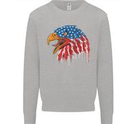 American Eagle Bandiera Degli Stati Uniti Felpa Uomo Jumper