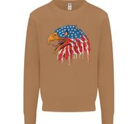 American Eagle Bandiera Degli Stati Uniti Felpa Uomo Jumper