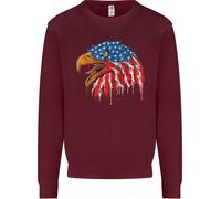 American Eagle Bandiera Degli Stati Uniti Felpa Uomo Jumper