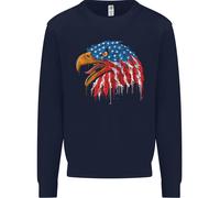 American Eagle Bandiera Degli Stati Uniti Felpa Uomo Jumper