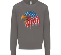 American Eagle Bandiera Degli Stati Uniti Felpa Uomo Jumper