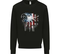 American Eagle Con Bandiera A Stelle E Strisce USA Uomo Felpa