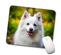 American Eskimo Dog Photo Mousepad Comodo Mouse Pad Portatile Tappetino Scrivania for Lavoro Laptop Pc 25X30Cm