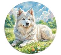 American Eskimo Dog Rundes 1000 Puzzle Animals Rundes Puzzle Familienpuzzle Schwieriges Großes Puzzle Pädagogisches Für Jungs Mädchen Reisegeschenke 1000pcs (67.5x67.5cm)