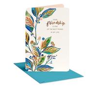 American Greetings Biglietto di ringraziamento dell'amicizia, biglietto di apprezzamento per un amico (quanto importante)