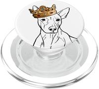 American hairless terrier cane che indossa la corona PopSockets PopGrip per MagSafe