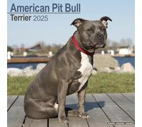 American Pit Bull Terrier 2025 Square Wall Calendar | Dog Breed Calendar