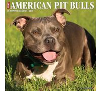 American Pit Bull Terriers 2026 Wall Calendar