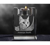 American Shorthair, Kristall-Kerzenleuchter Con Gatto, Crystal Animals