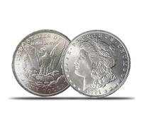 American silver eagle 1891 The United States Statua della Liberty Coin Eagle Coin Silver Plated Coin 1oz Coin gifts for coin collectors