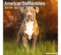 American Staffordshire Terrier 2027 Calendar | Square Wall Calendar | Dog Breed Gift | Plastic Free Packaging | by Avonside Publishing