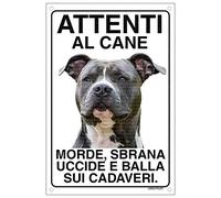 AMERICAN STAFFORDSHIRE TERRIER AMSTAFF Attenti al cane morde sbrana uccide e balla sui cadaveri (20X30)