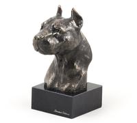 American Staffordshire Terrier Testa Sulla Pietra