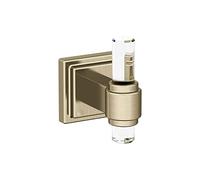 Amerock Glacio - Gancio singolo per accappatoio, colore: Trasparente/Dorato Champagne