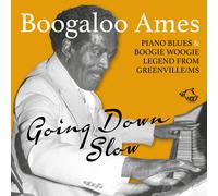 Ames Boogaloo Going Down Slow (CD)
