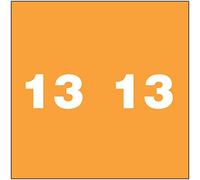 AMES COMPATIBLE AM-13 etichetta permanente codice colore, Mylar, anno, "13", 1 7/8" x 1 7/8", arancione (confezione da 1000)