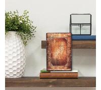 Amesor Libri Decorativi Finti per Arredamento - Decorazione Con Libri Finti - Contenitore Multifunzione Stile Vintage Per Ripiano Salotto Scaffale Tavolino