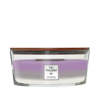 Amethyst Sky Candele In Vetro Ellipse 454 gr Woodwick