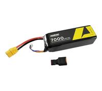 Amewi Pacco batteria (LiPo) 11.1V 7000mAh Numero di celle: 3 rigide XT90