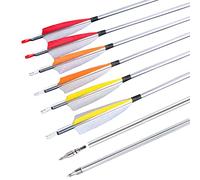 AMEYXGS Frecce in Alluminio per Tiro con L'Arco 30 Pollici Frecce da Caccia Spine 500 Frecce per Il Bersaglio per Arco Composto e Arco Ricurvo (6pcs, Giallo)