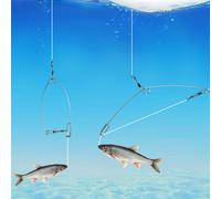 Ami Automatici Da Pesca Per Pesci Di Mare, Fiumi, Laghi, Esche