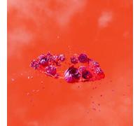 AMI DANG THE LIVING WORLD'S DEMANDS (Vinyl LP)