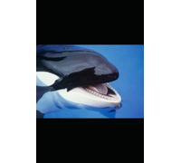 Amici degli abissi: Quaderno a quadretti con ORCA