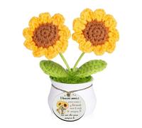 Amici Regali Girasoli All'Uncinetto Vaso Amicizia Apprezzamento Presente Donne Uomini Natale Compleanno Fiori Fatti A Mano Lavorati A Maglia Ispirazionale Ricordo Amica Amico Decorazioni (Buoni)