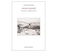 Amicizie vulnerabili. Coesistenza e conflitto in Israele. Con DVD - Koensl...