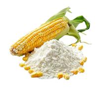 Amido di mais modificato E1442 500g