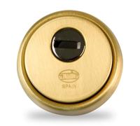 Amig - Defender per cilindro Mod. 31 - Ottone - Dorato - Anello esterno cavo - Ø65 mm - Con piastra antitrapano - Con viti e supporto - Per cilindro Europrofilo EN1303 - Corpo in acciaio sinterizzato