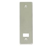 Amig - Maniglione per Porte con Piastra Mod.13 - Design Classico e Presa Robusta per Porte e Portoni - 245 x 45 mm - Ottone - Dorato Lucido