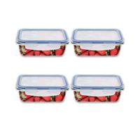 Amig - Set di 4 Contenitori Ermetici per Alimenti | Adatto al Microonde, al Forno e al Freezer | Ideale per Cibi Solidi e Liquidi | Antiodore | Facile da Pulire | Capacità: 840 ml