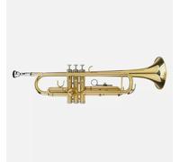 Amilav Collections Standard TRUM-2418 - Set di trombe in Sib dorate, per principianti o avanzati, con custodia rigida, bocchino 7C, olio valore, guanti, strumenti musicali in ottone per bambini e