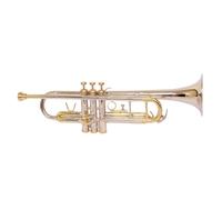 Amilav Collections Tromba Bb Pitch con custodia rigida, molla, boccaglio e paio di guanti in design unico, qualità di esportazione per band da concerto, principianti, intermedi e professionisti