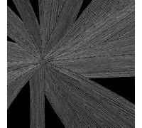 Myers, Amina Claudine - Solace of the Mind