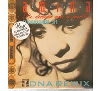 Amina - Le Dernier Qui a Parle