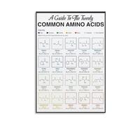 Amino Acids Reference Poster Guide to 20 Standard Amino Acids for MCAT DAT Prep Medical Students Canvas Wall Art(Framed,08X12inch(20X30cm))