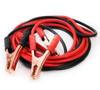 AMiO 01340 Cavetti d'avviamento