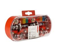 AMiO 03958 Assortimento, Lampadine