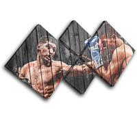 Amir Khan Boxing Sports MULTI TELA parete arte foto stampa