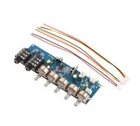 AMISENK Modulo amplificatore audio professionale con ritardo ed effetti integrati, adatto per sistemi karaoke e preamplificatori per microfoni karaoke