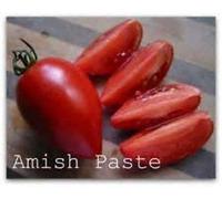 Amish Paste Tomato! 20 SEEDS! SEE OUR STORE WE SELL OVER 200 KINDS OF TOMATOES!