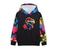 Amissz - Felpa con cappuccio per bambini e ragazzi, con stampa 3D, tasca frontale, pullover, per ragazzi e ragazze di 6-16 anni, Dinosauri, 8-11 Years
